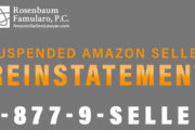 Private Label Amazon Seller Reinstatement