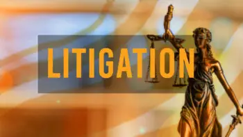 litigation services