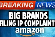 Amazon Sellers, BEWARE of Selling Branded Products - Big Brands Filing IP Complaints