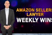 Fighting Baseless IP Complaints & Winning Reinstatements - Amazon Sellers Lawyer Success