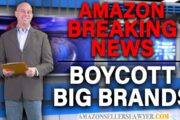 Boycotting BIG Brands on Amazon for Sending Sellers BASELESS Intellectual Property Complaints