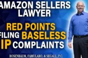Increase in false IP Complaints from Red Points & Amazon Sellers' Required Insurance