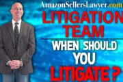 Should Amazon Sellers Start Litigation to Recover Damages from Hijacked Listings?