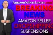 drop shipping suspensions