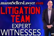 litigation witnesses