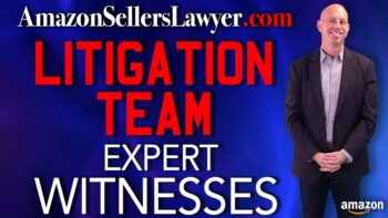 litigation witnesses