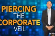 People Suing Amazon Sellers – Protect Your Assets & Stop the Piercing of the Corporate Veil
